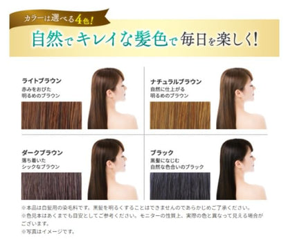 Sastty Traitement Capillaire Colorant 200g pour Cheveux Blancs