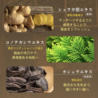 SEIKA Zen Shampoo 400ml with Fresh Green Leaf and Herbal Scent