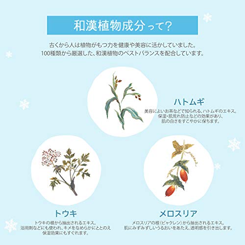 Sekkisei Enrich Lotion Hydrating Essence 500mL Japanese Skincare