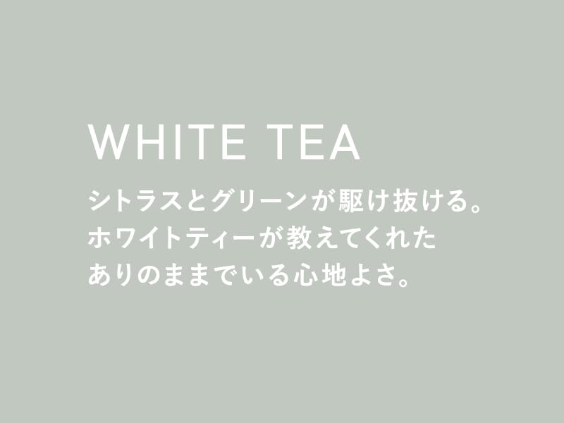 SHIRO Body Milk 195g with Naturally Derived Ingredients