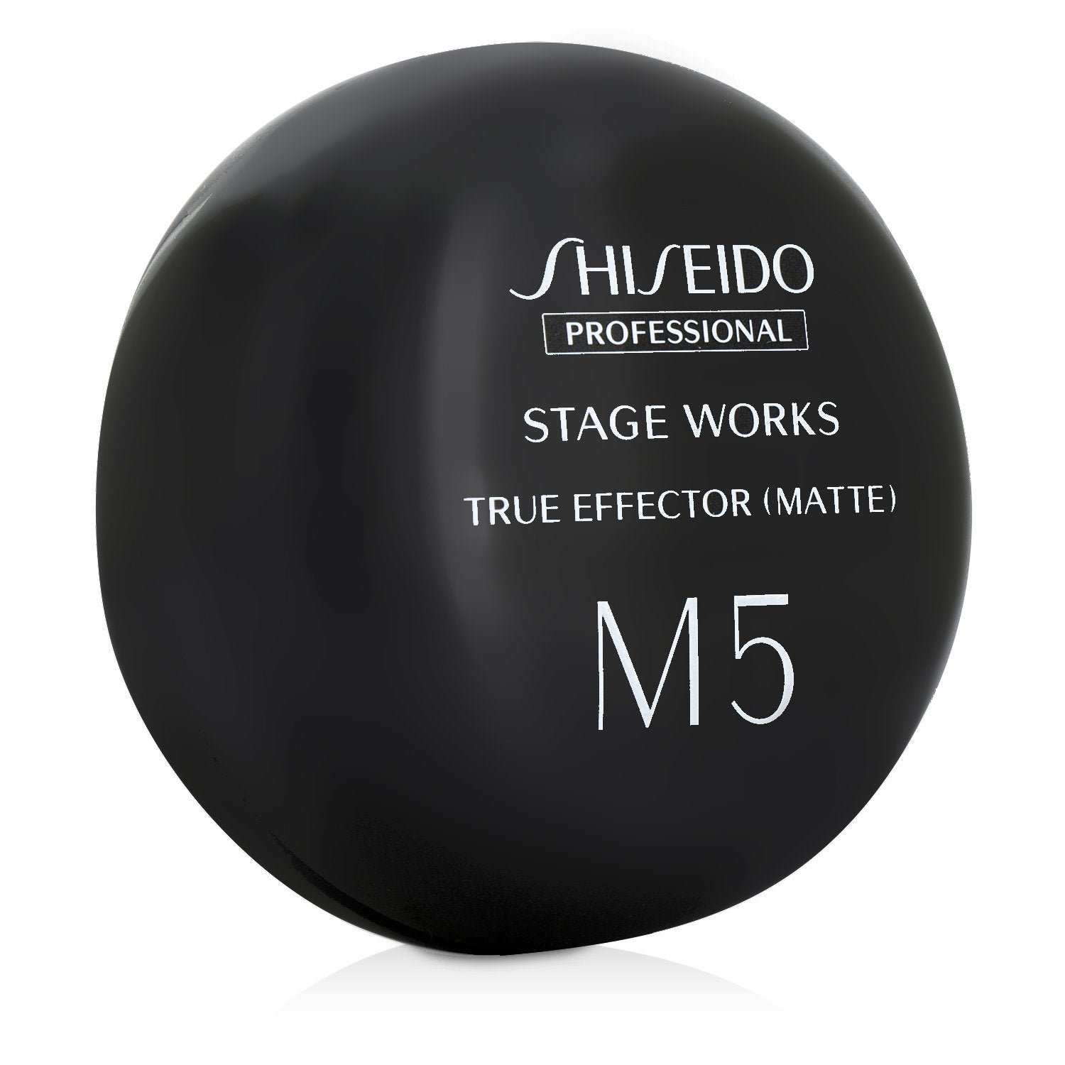 Shiseido Professional Stage Work True Effector (Matte) 80g