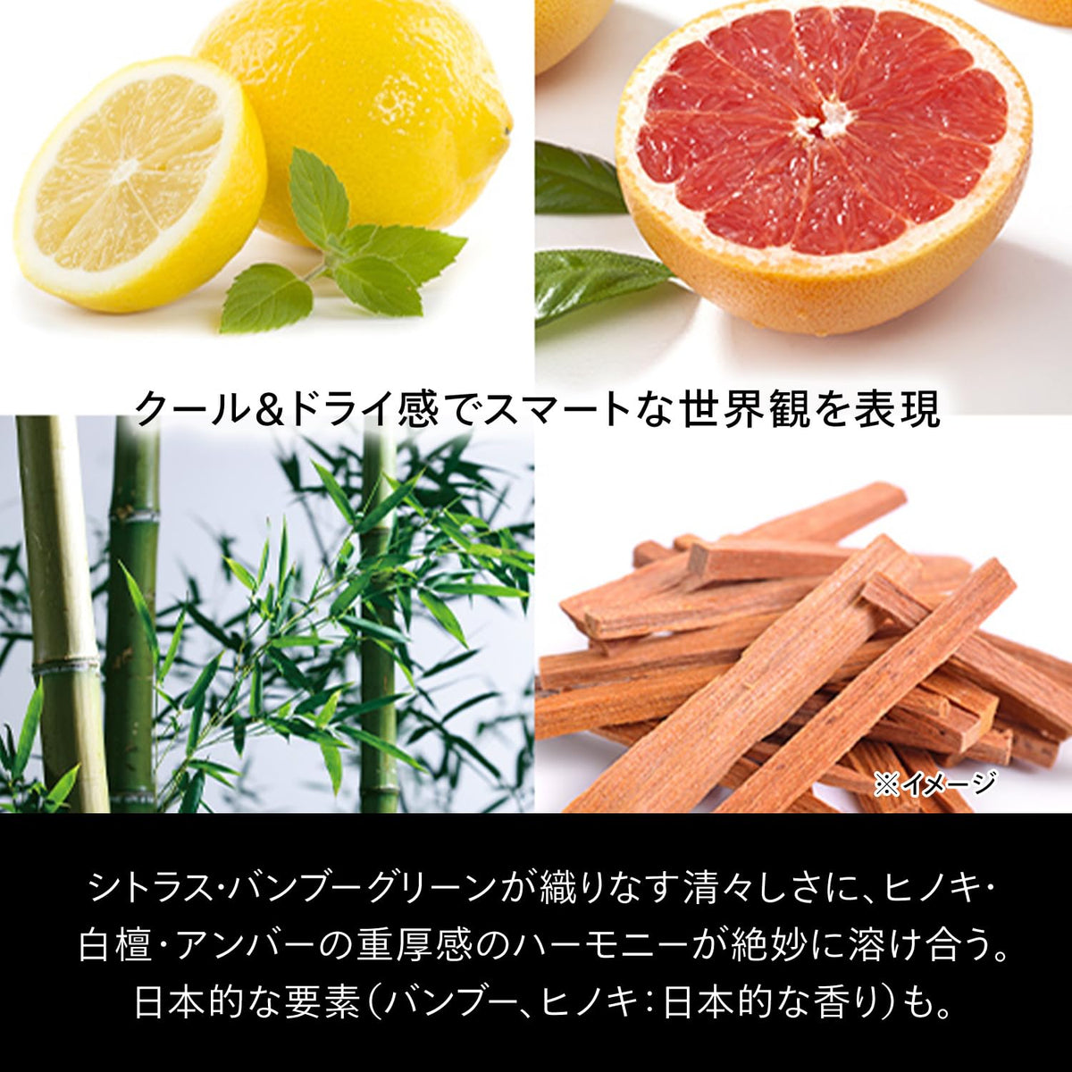 SHISEIDO MEN Face Cleanser Citrus Woody 130g for Men