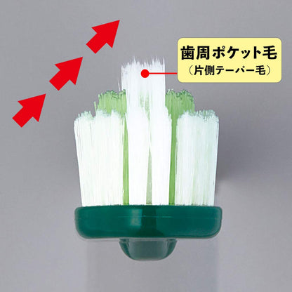 Shouyou Compact Head Toothbrush for Effective Plaque Removal