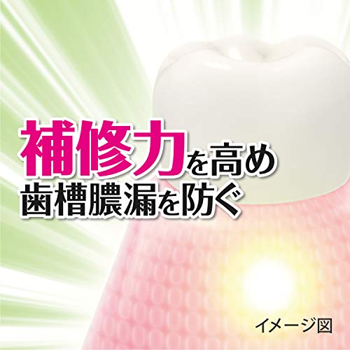 Shouyou Herbal Mint Toothpaste for Sensitive Teeth 100g
