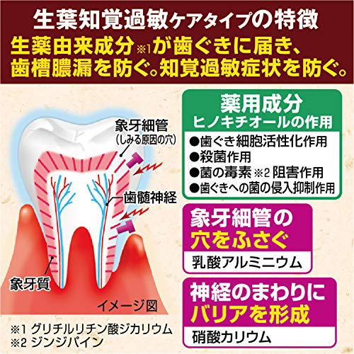Shouyou Herbal Mint Toothpaste for Sensitive Teeth 100g