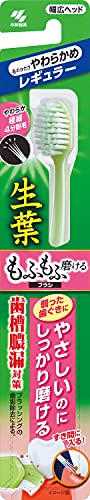 Shouyou Gentle Cleaning Toothbrush for Effective Care