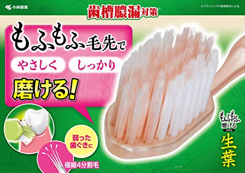 Shouyou Gentle Cleaning Toothbrush for Effective Care