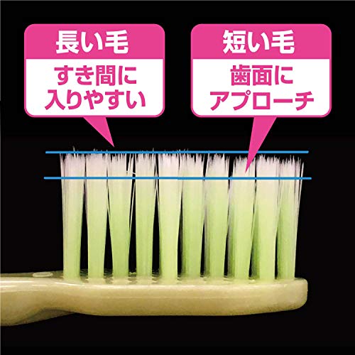Shouyou Gentle Cleaning Toothbrush for Effective Care