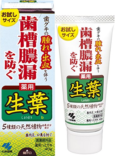 Shouyou Natural Herbal Toothpaste Trial Size 40g with Refreshing Mint