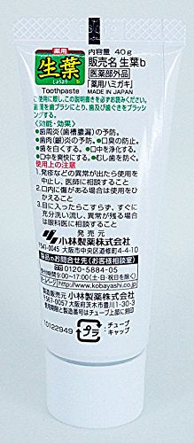 Shouyou Natural Herbal Toothpaste Trial Size 40g with Refreshing Mint