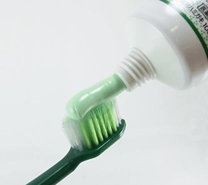 Shouyou Natural Herbal Toothpaste Trial Size 40g with Refreshing Mint