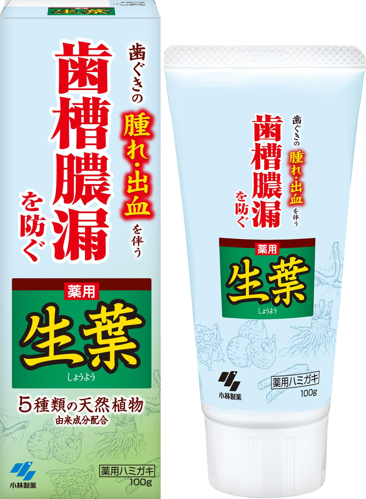 Shouyou Herbal Toothpaste for Gum Care 100g