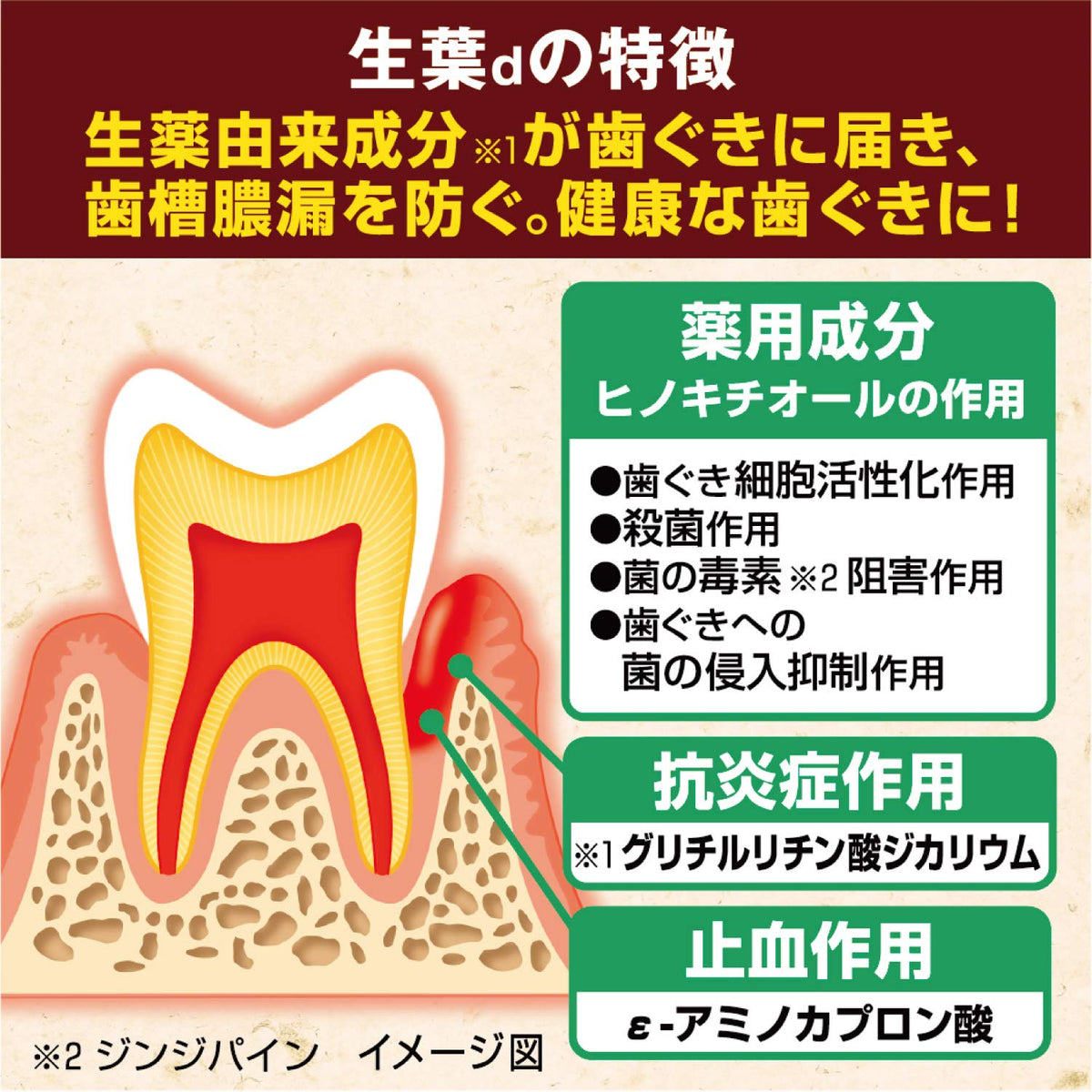 Shouyou Herbal Toothpaste for Gum Care 100g