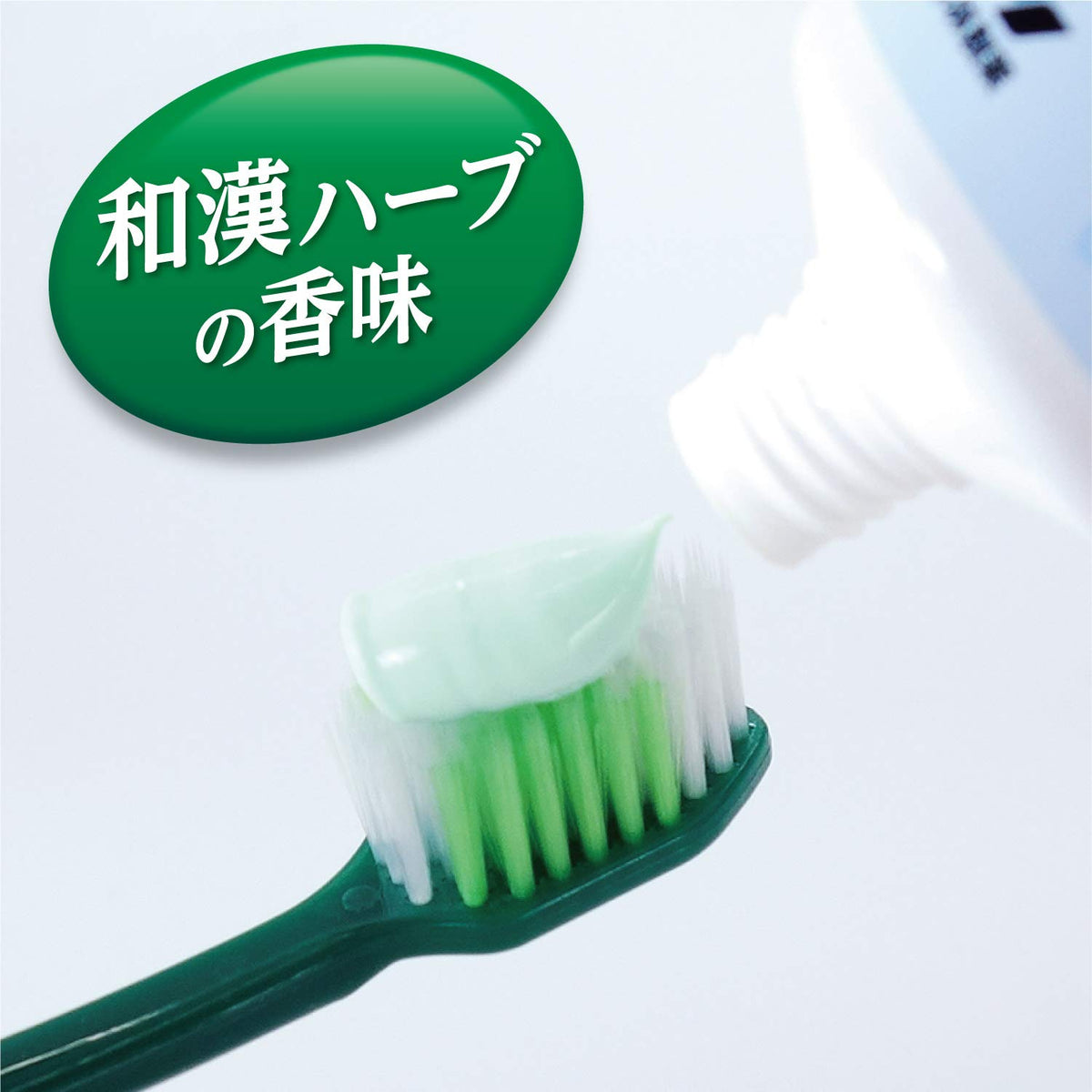 Shouyou Herbal Toothpaste for Gum Care 100g