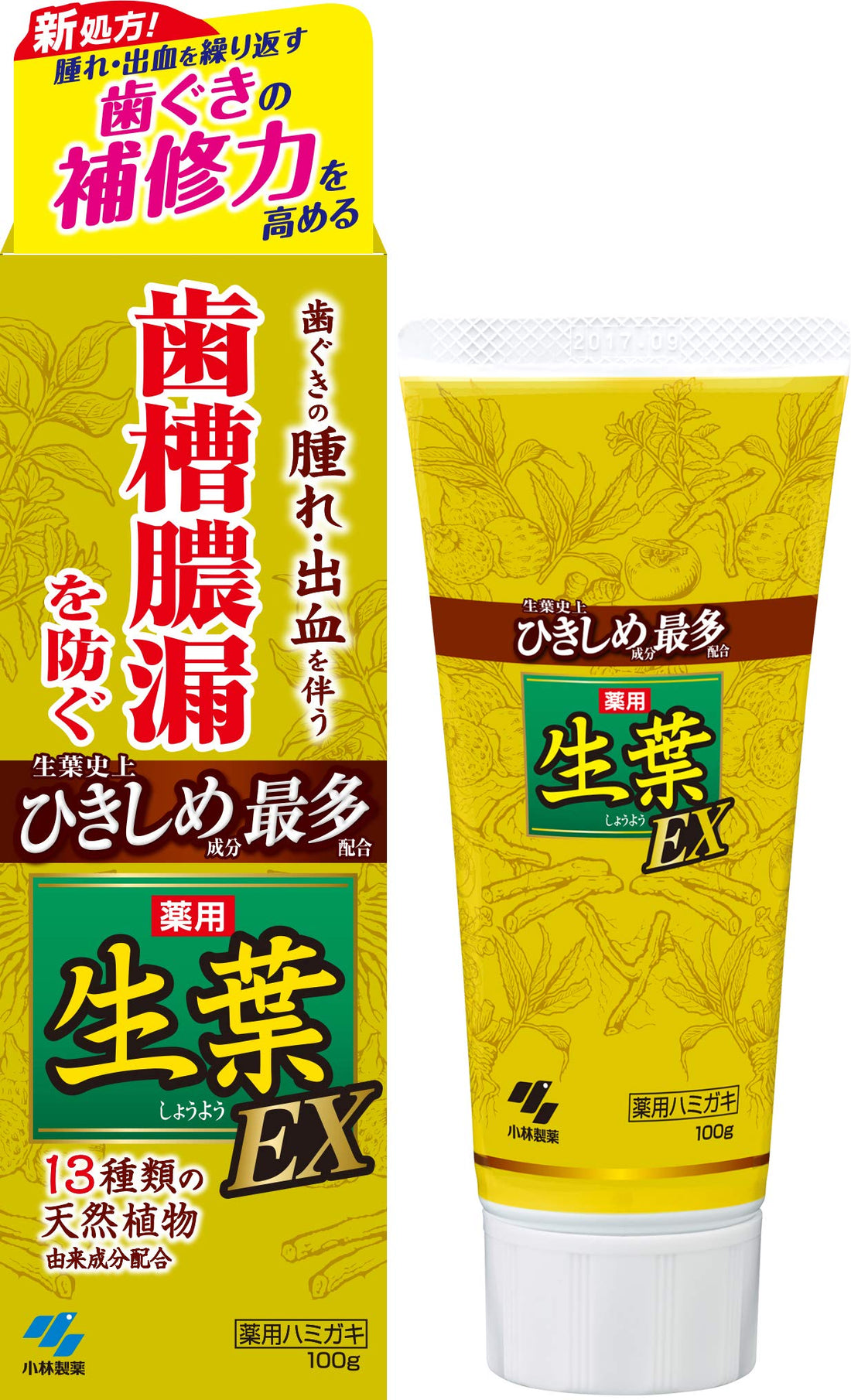 Shouyou EX Medicated Toothpaste, Japanese and Chinese Herbal Flavor 100g