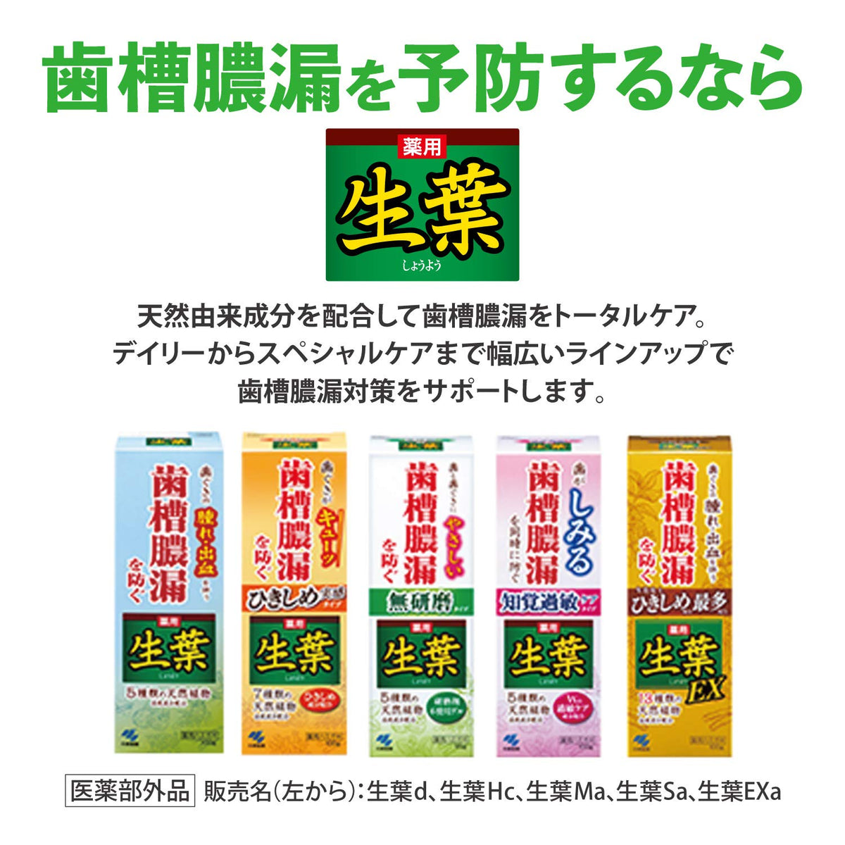 Shouyou Natural Herb Toothpaste for Gum Care 100g