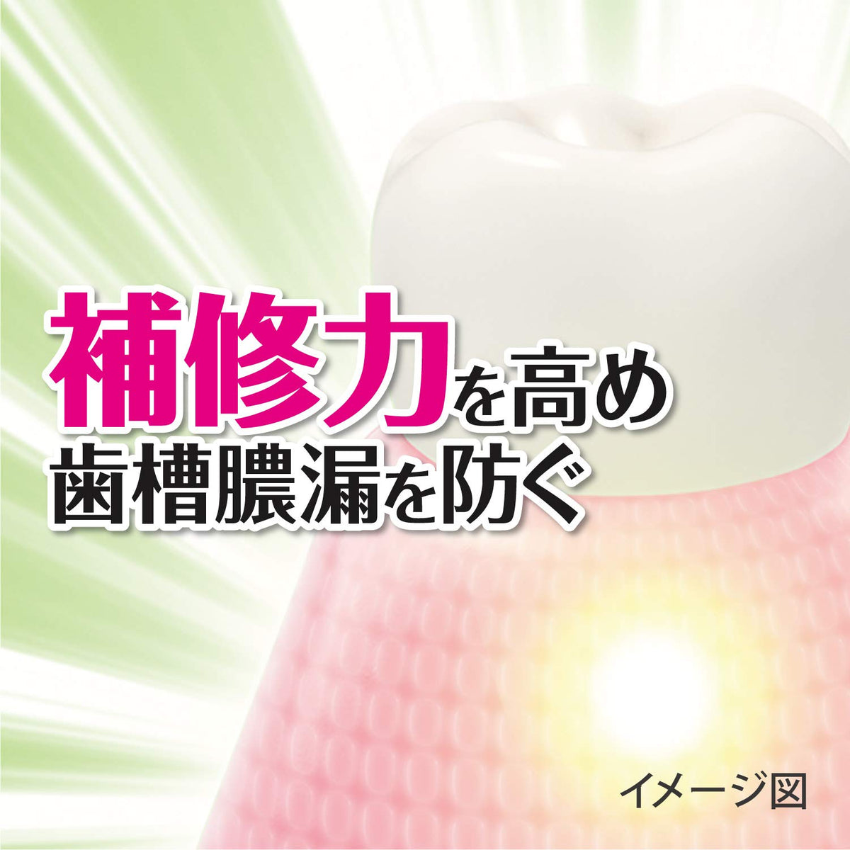 Shouyou Natural Herb Toothpaste for Gum Care 100g