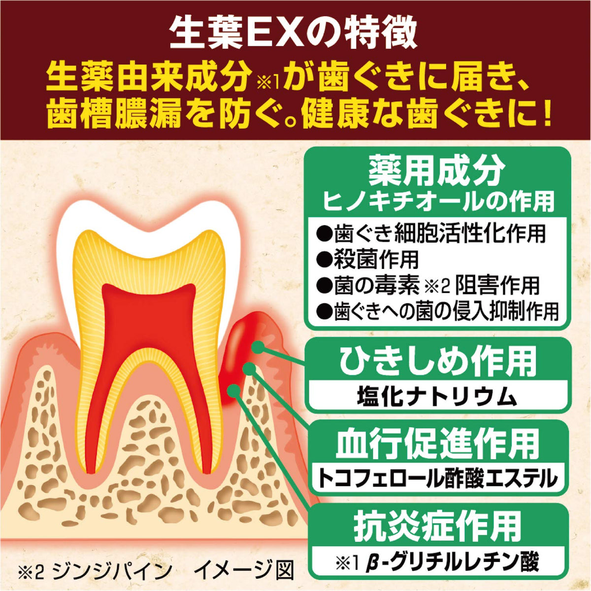 Shouyou Natural Herb Toothpaste for Gum Care 100g