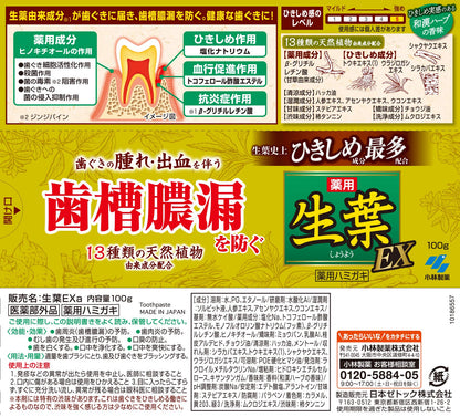 Shouyou Natural Herb Toothpaste for Gum Care 100g