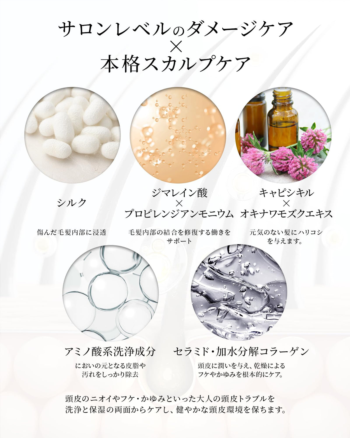 SiiiF Shampoo Rinse-in 300mL avec 2 Recharges pour Cheveux
