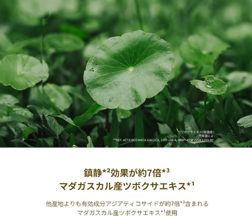 SKIN1004 Centella Ampoule 55ml for Japanese Skincare