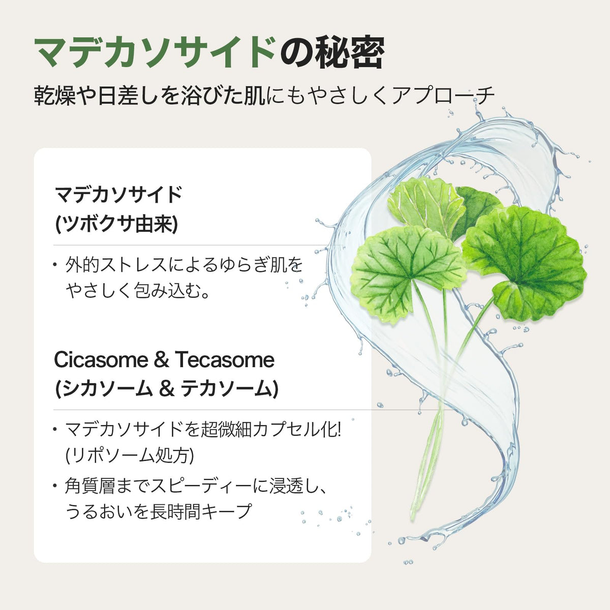 SKINFOOD Potato Madecassoside Daily Mask 10 Sheets for Daily Care