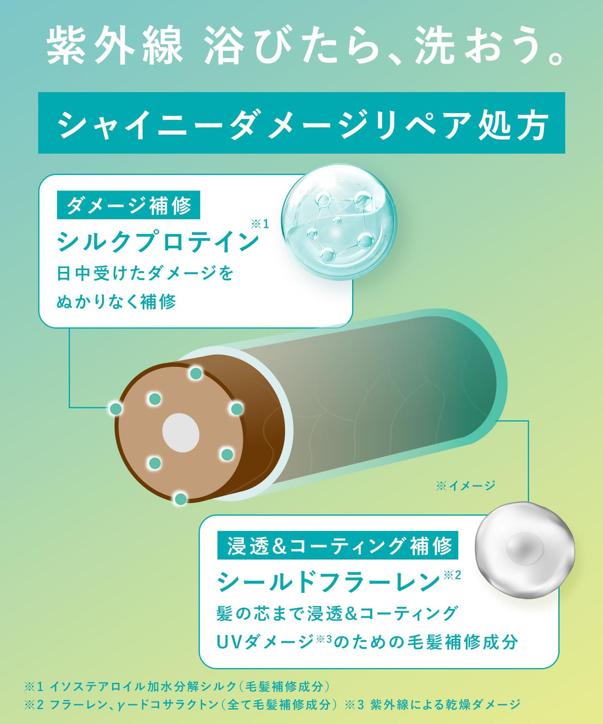 SOLAMY Shampoo and Treatment Set for UV Aftercare