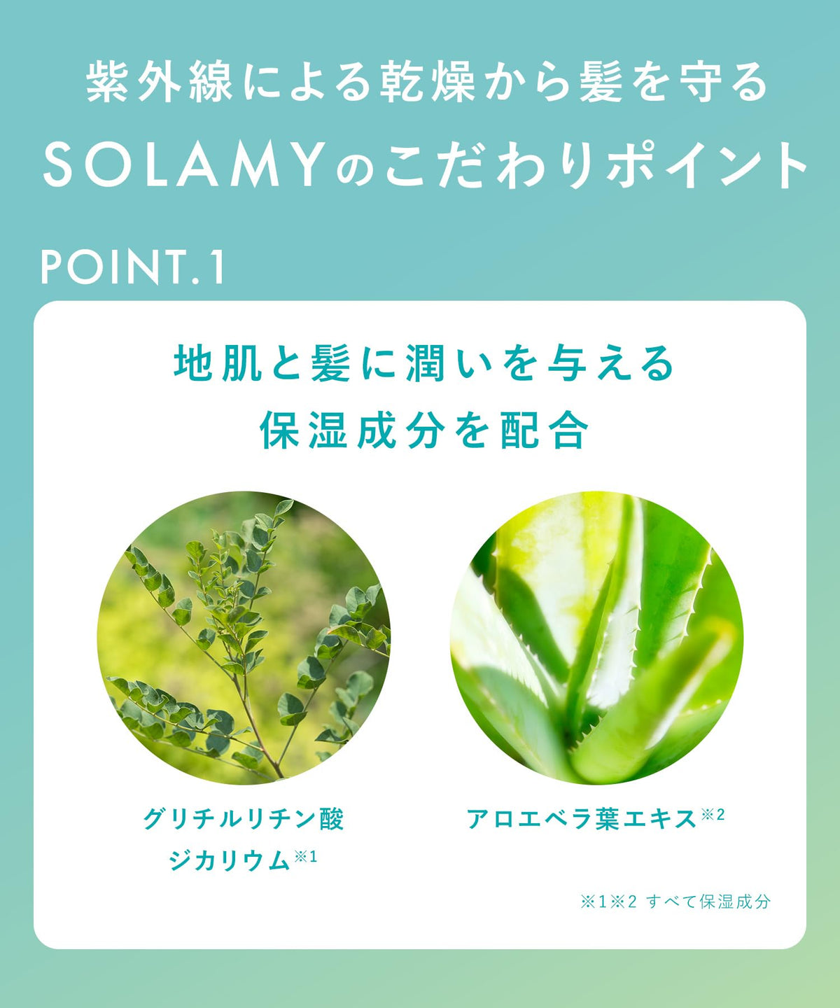 SOLAMY Shampoo and Treatment Trial Set for UV After Repair