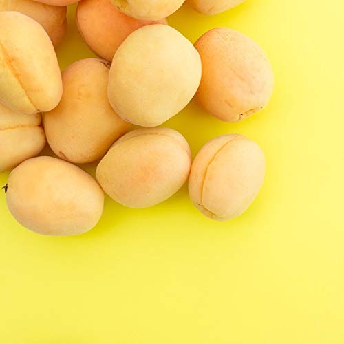 spahinoki Organic Apricot Kernel Oil Unrefined 290mL for Japanese Skincare