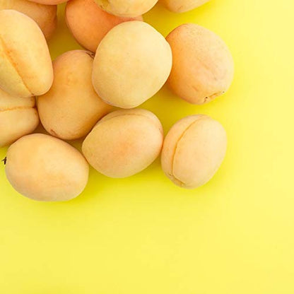 spahinoki Organic Apricot Kernel Oil Unrefined 290mL for Japanese Skincare