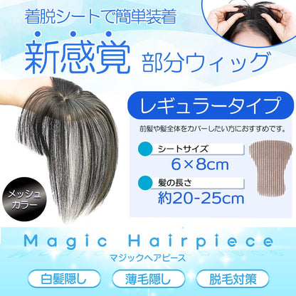 TefuRe Hair Treatment Wig with Natural Scalp and Coverage