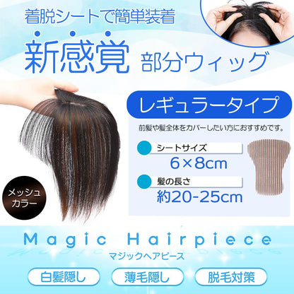 TefuRe Hair Wig with Natural Scalp and Brown Color