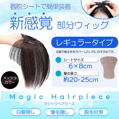 TefuRe Hair Wig for Gray Coverage with Natural Look