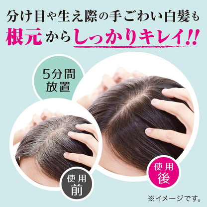 TENSTAR Henna Color Treatment Dark Brown 250g Set of 2 with Brush