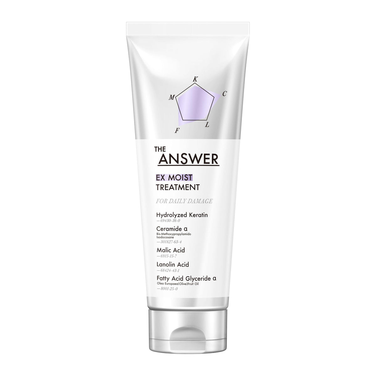 THE ANSWER Moist Treatment for Daily Damage 220g