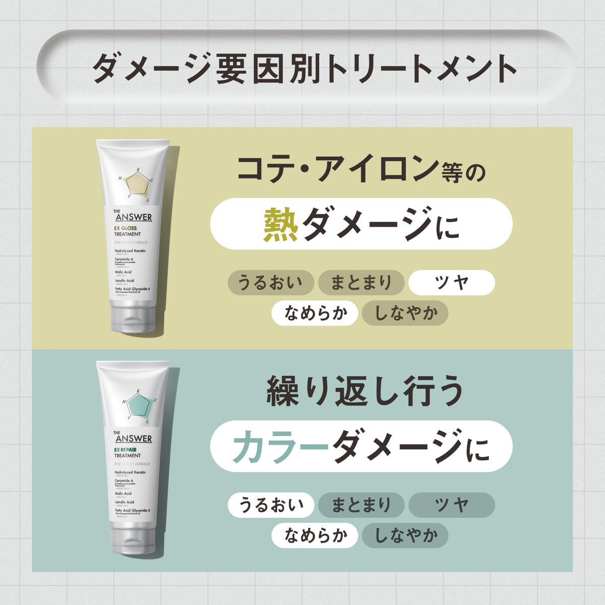 THE ANSWER Moist Treatment for Daily Damage 220g