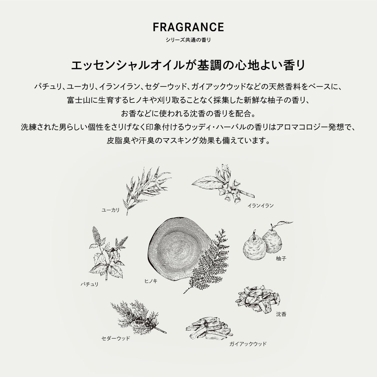 THE GROOMING Shampoo with Hinoki Scent 500ml