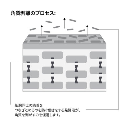 the ordinary Milky Toner with Saccharomyces Ferment 100ml for Japanese Skincare