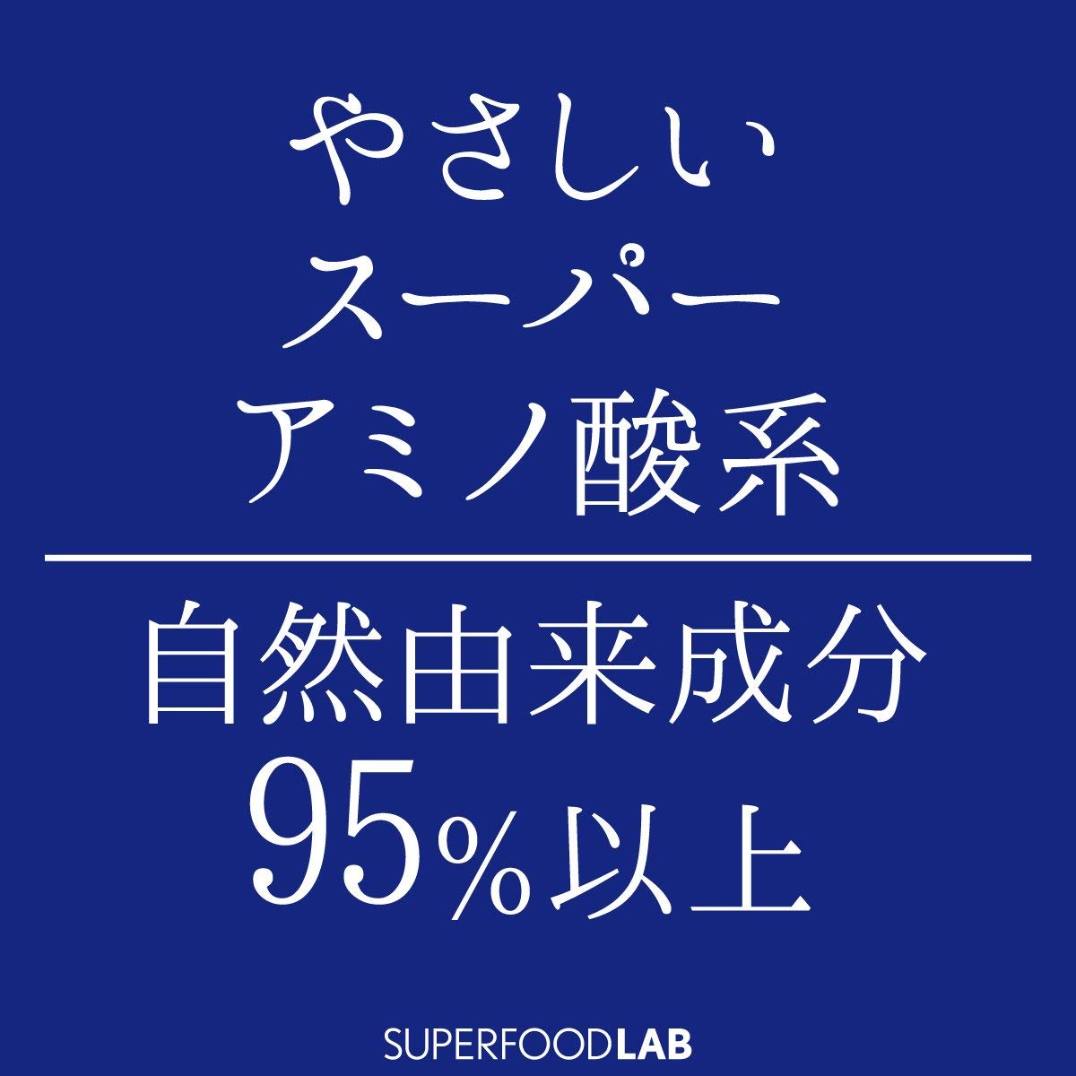 THE SUPERFOOD LAB Moisture Treatment 480g for Japanese Hair Care