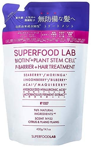 THE SUPERFOOD LAB Hair Treatment Refill 400g with Natural Ingredients
