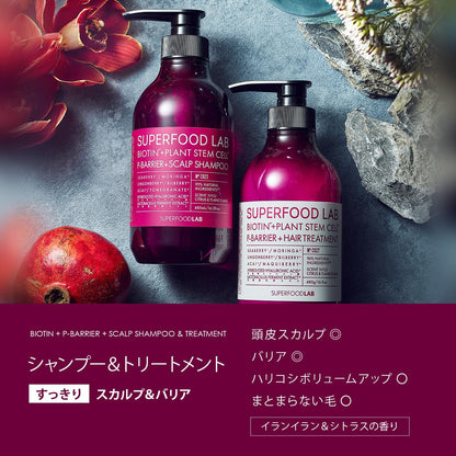 THE SUPERFOOD LAB Hair Treatment Refill 400g with Natural Ingredients