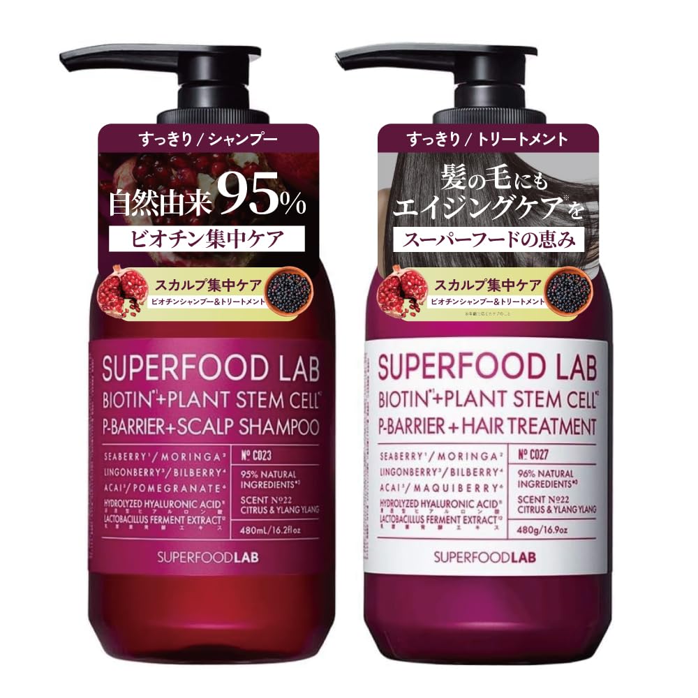 THE SUPERFOOD LAB Hair Care Set Shampoo and Treatment 480ml 480g