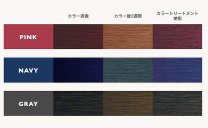 Tintoba Loretta BX Tint Bar Color Treatment Navy 150g