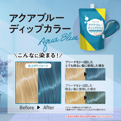Tottimo! Aqua Blue Color Treatment 500g for Japanese Hair Care