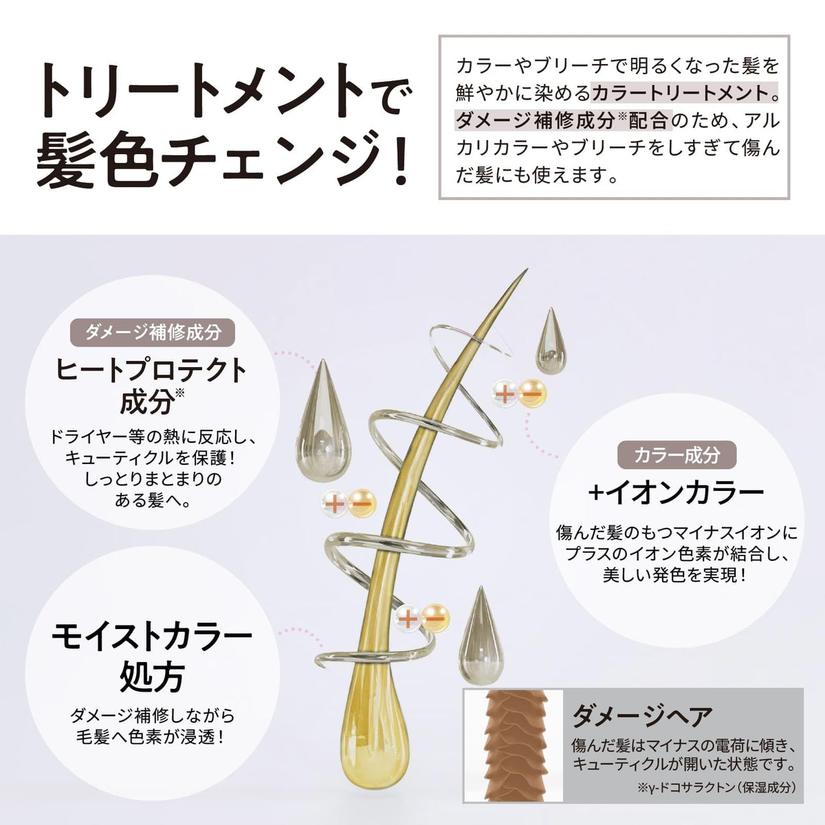 Tottimo! Color Treatment Milk Tea 500g for Japanese Hair Care