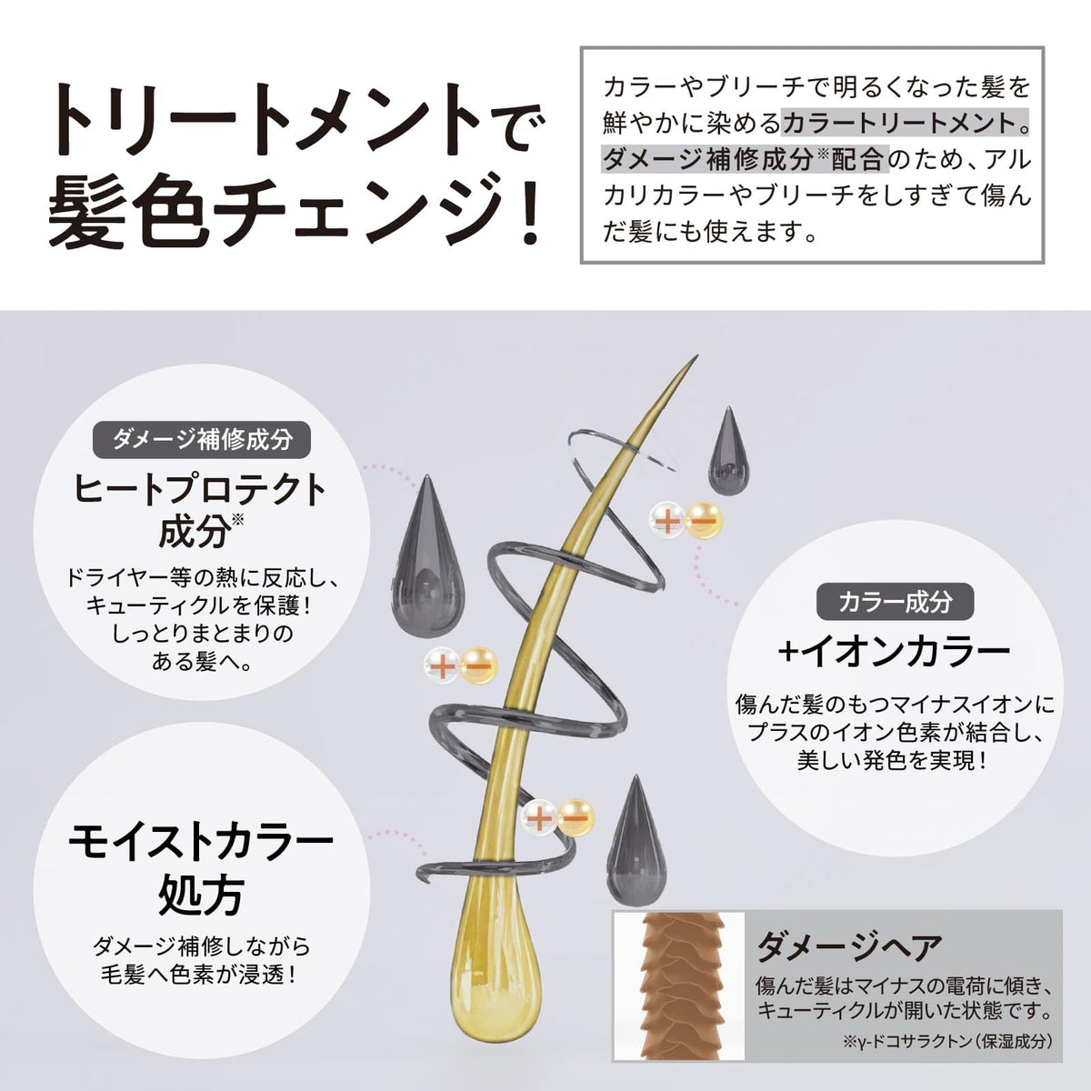Tottimo! Dip Color Dark Silver 500g Hair Treatment