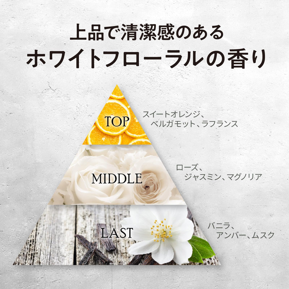 Tottimo! Dip Color Dark Silver 500g Hair Treatment