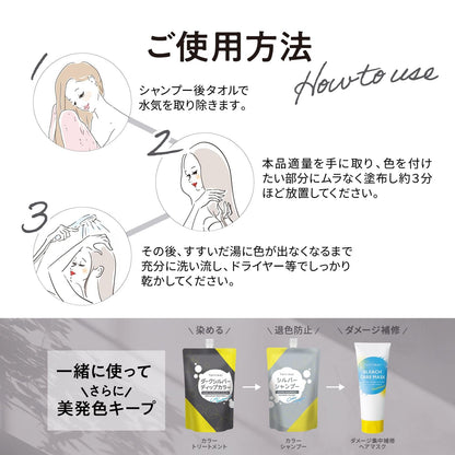 Tottimo! Dip Color Dark Silver 500g Hair Treatment