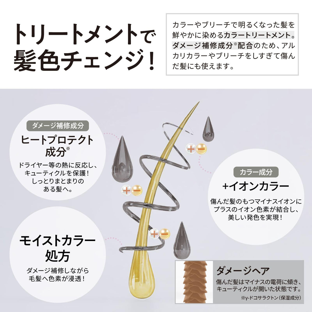 Tottimo! Color Treatment Silver 500g for Japanese Hair Care