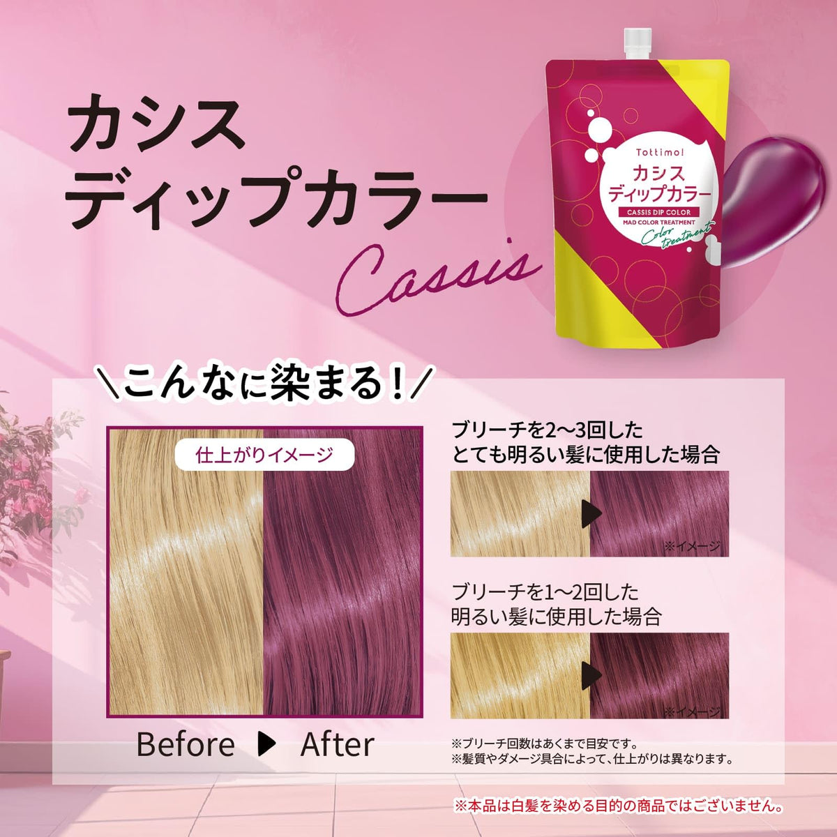 Tottimo! Dip Color Cassis Hair Treatment 500g for Japanese Hair Care